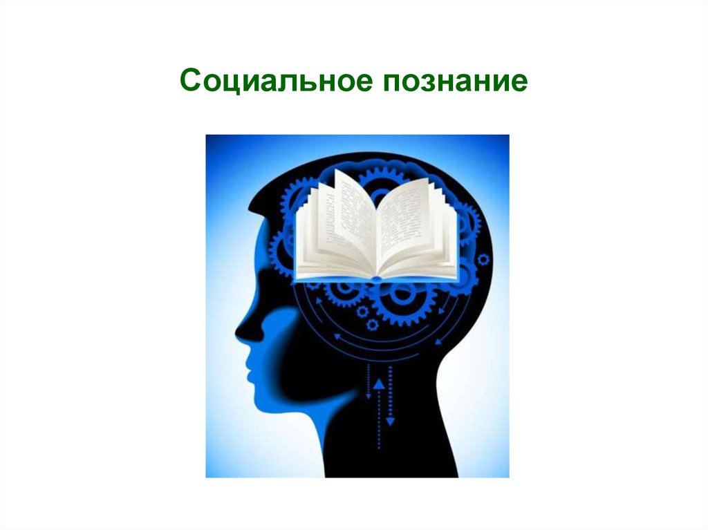 Психология социального познания презентация