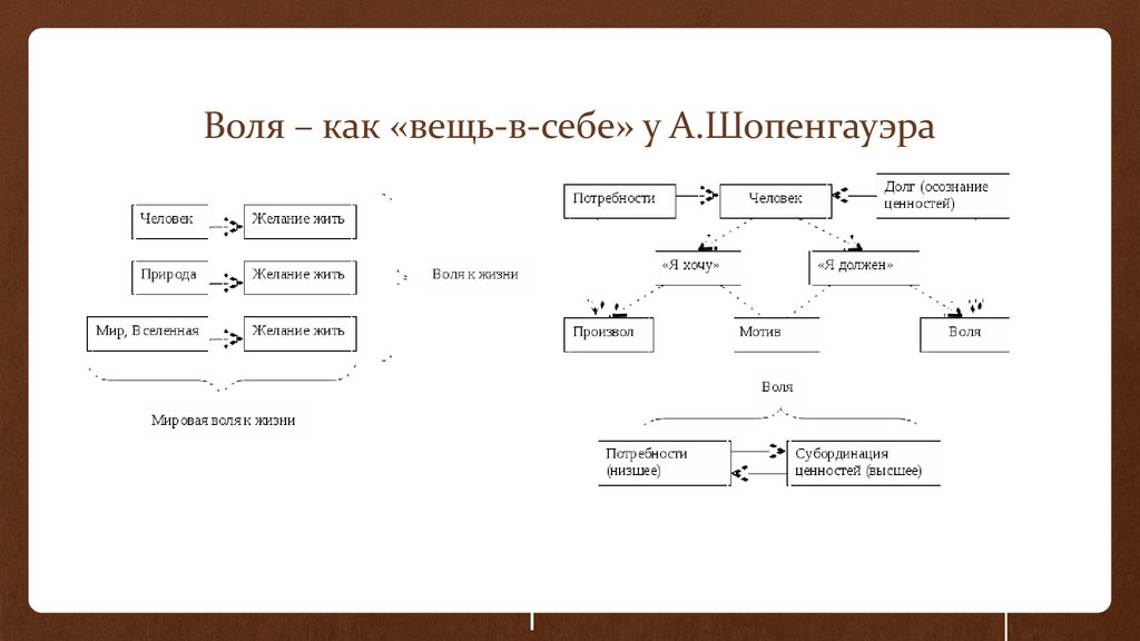 Воля к жизни шопенгауэра