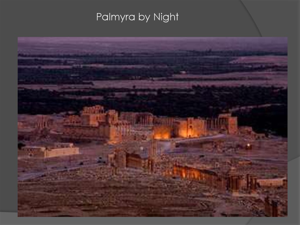 Palmyra by Night