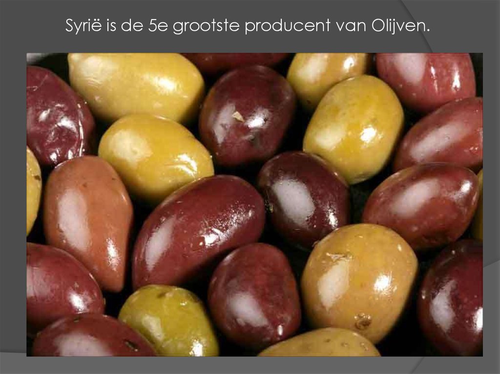 Syrië is de 5e grootste producent van Olijven.