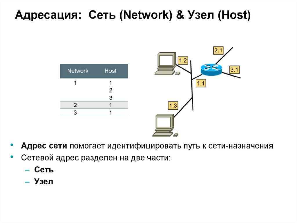 Виды узлов сети. Адресация узлов в компьютерных сетях. Узел сети. IP адресация. Узлы компьютерной сети.