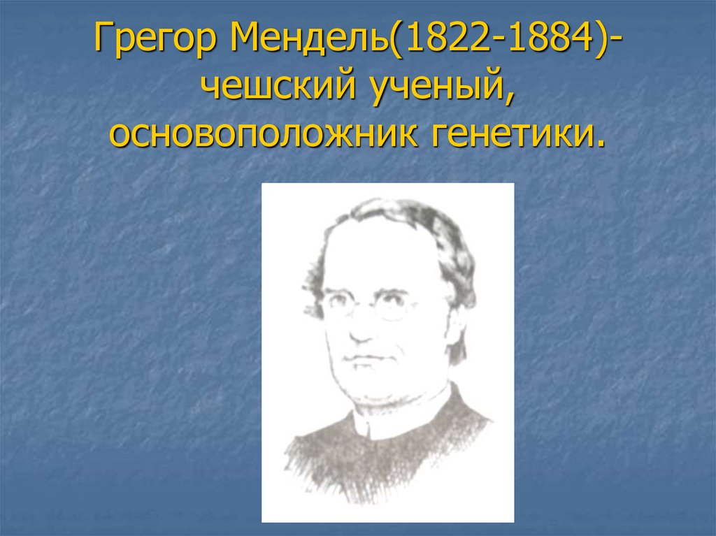 Грегор Мендель(1822-1884)-чешский ученый, основоположник генетики.
