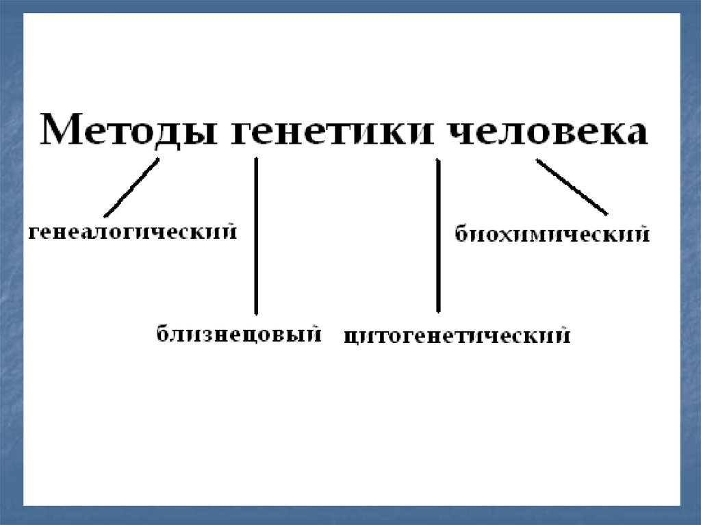 Наследственные заболевания нервной системы
