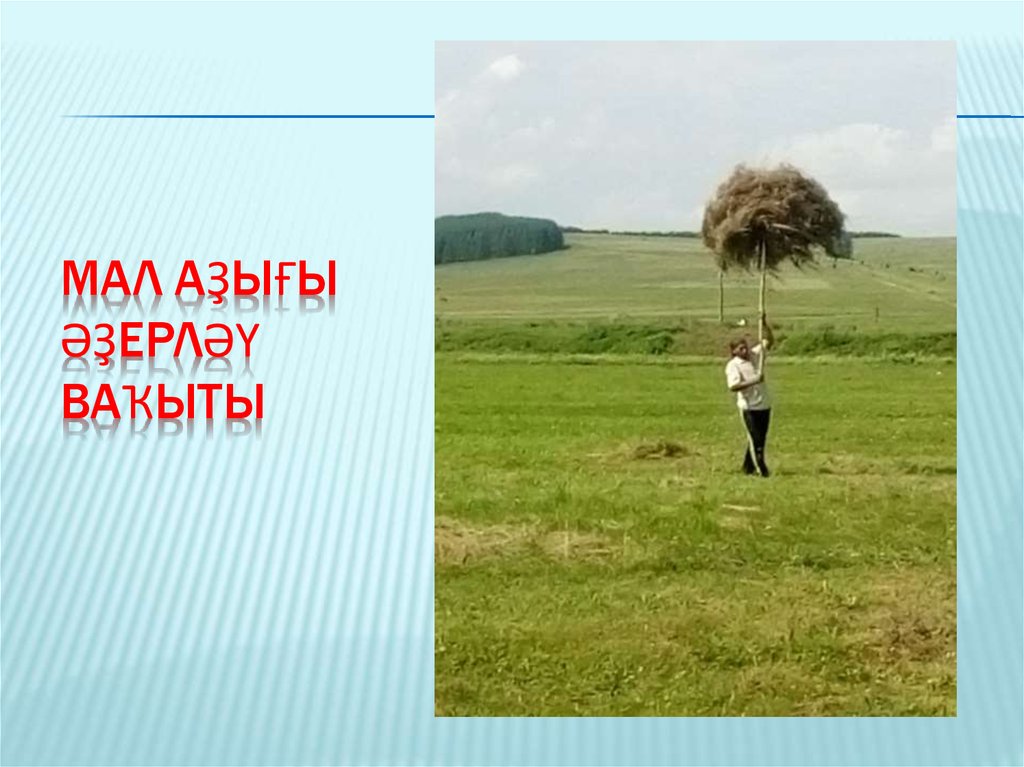 Мал аҙығы әҙерләү ваҡыты