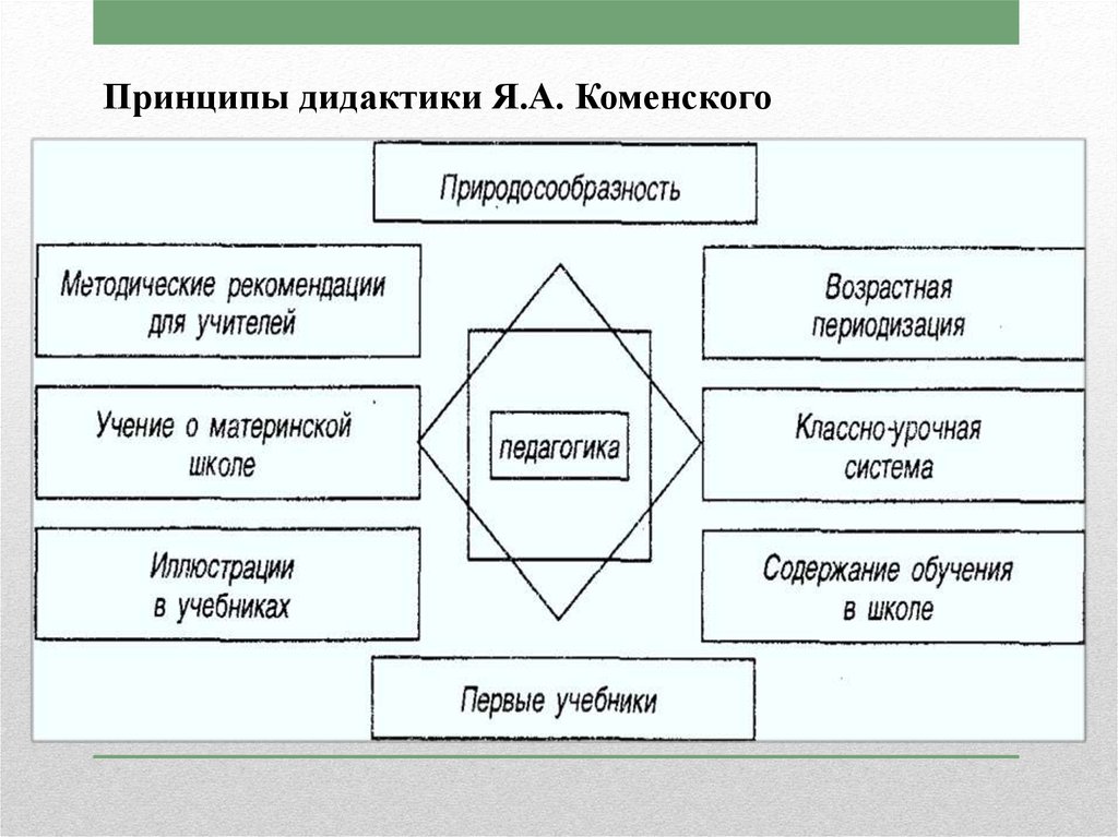 18 принципы. Дидактические принципы Коменского таблица. Принципы дидактики Коменского. Принципы дидактики я.а Коменского. Дидактическая система Коменского.