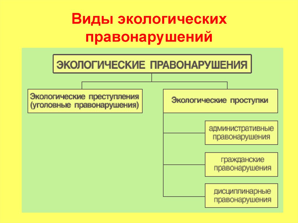 Виды экологических правонарушений презентация