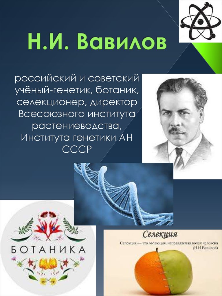 Н.И. Вавилов