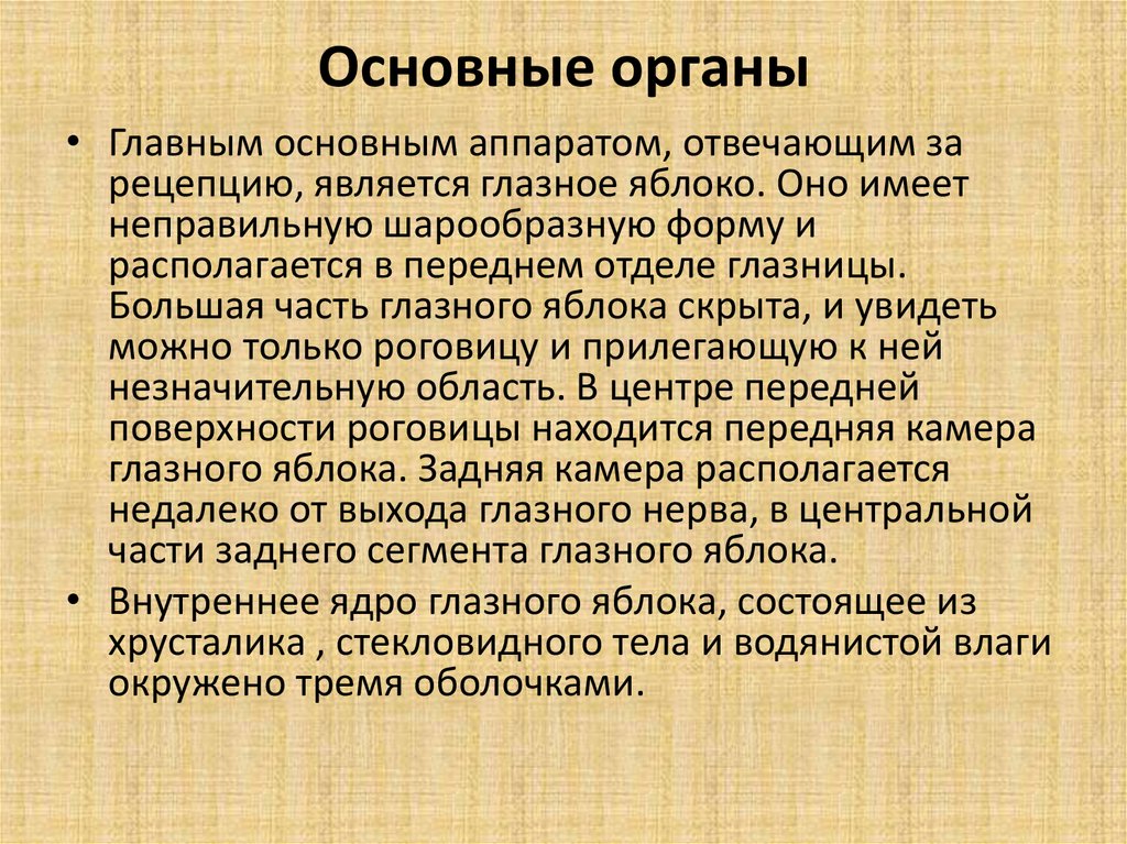 Важный орган