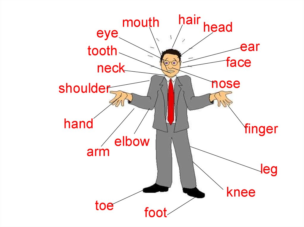 Part с английского. Parts of body презентация. Arm hand разница английский. Head Shoulders Knees and Toes раскраска. Body Parts Neck.