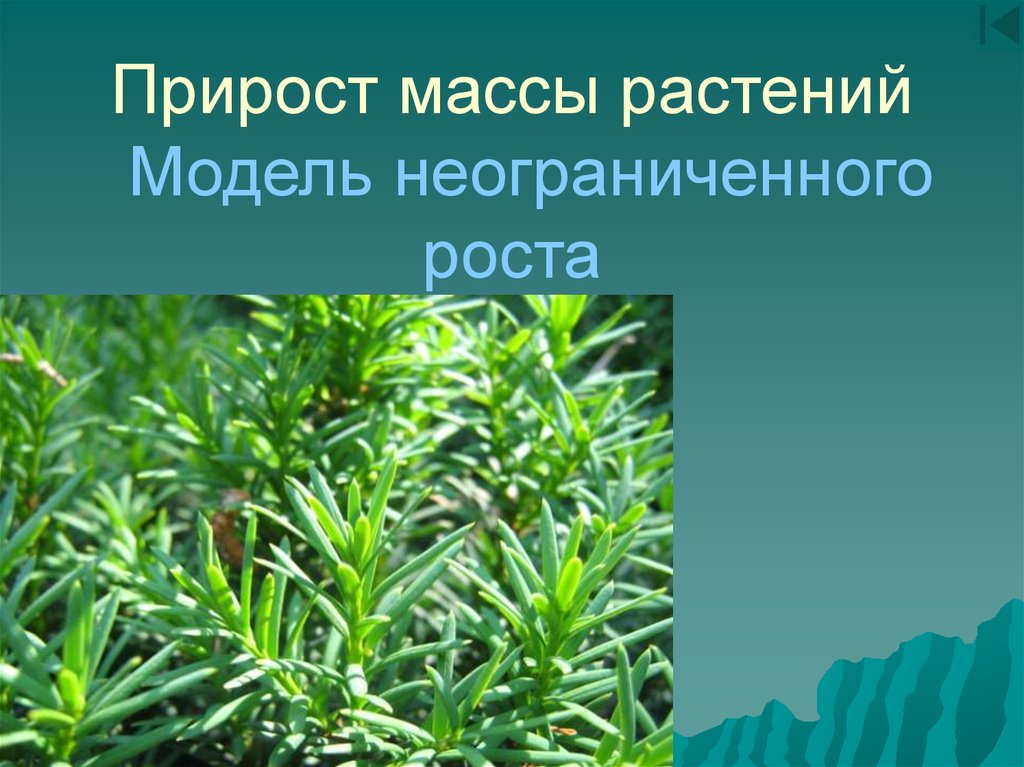 Масса растений. Прирост растений. Неограниченный рост растений. Растений — массовый.