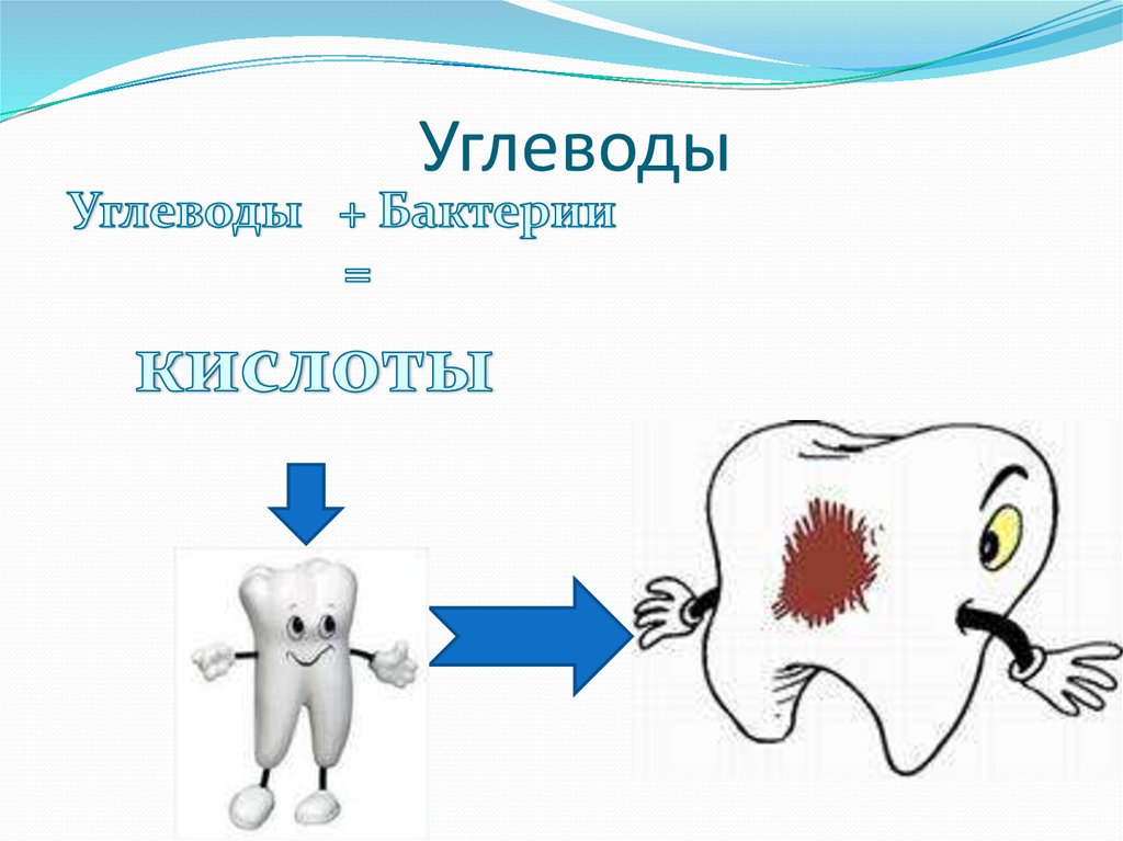 Механизм образования кариеса зубов. Физико химическая теория кариеса. Механизм развития кариеса. Зубной налет под микроскопом. Этиология и патогенез кариеса.