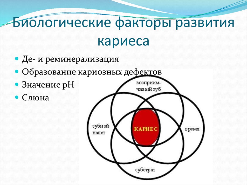 Биологические факторы развития