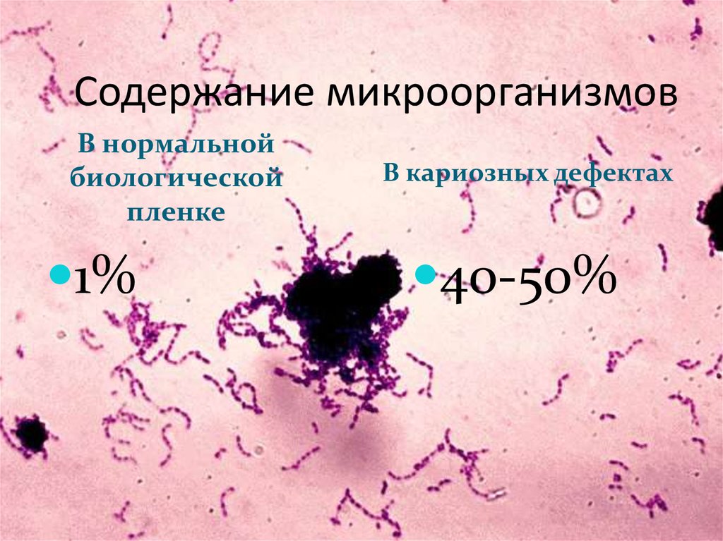 Содержащих микрофлору