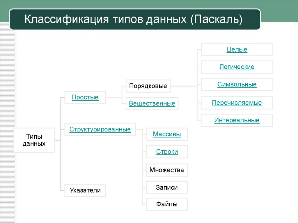 Классификация вид тип