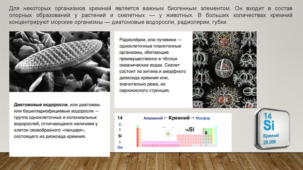 Кремний для организма