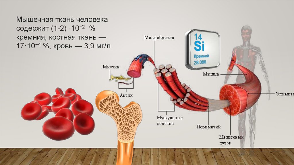 Замена кремния в процессорах