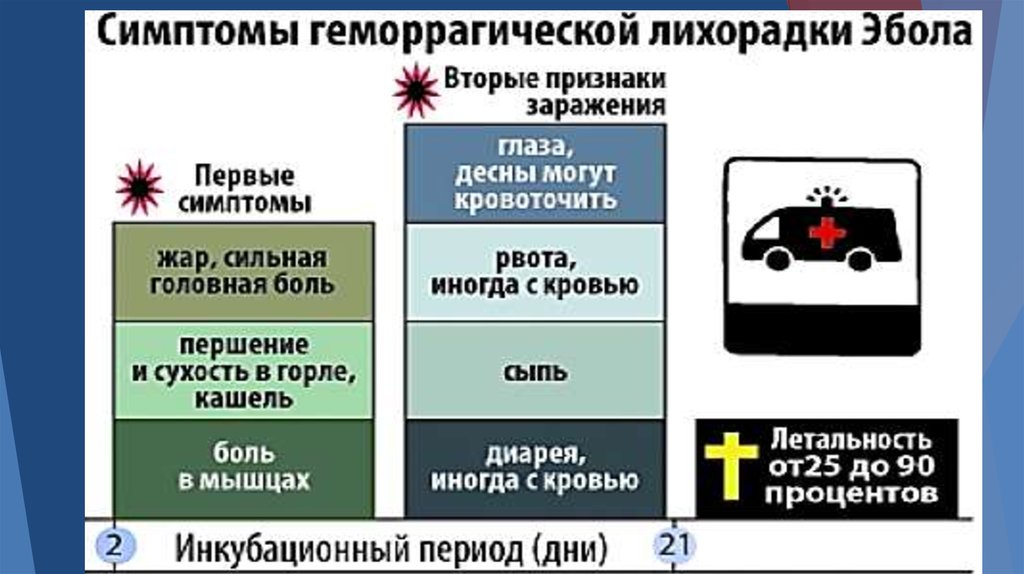 Лихорадка эбола инкубационный период. Геморрагическая лихорадка симптомы. Геморрагические лихорадки проявления. Омская геморрагическая лихорадка презентация.