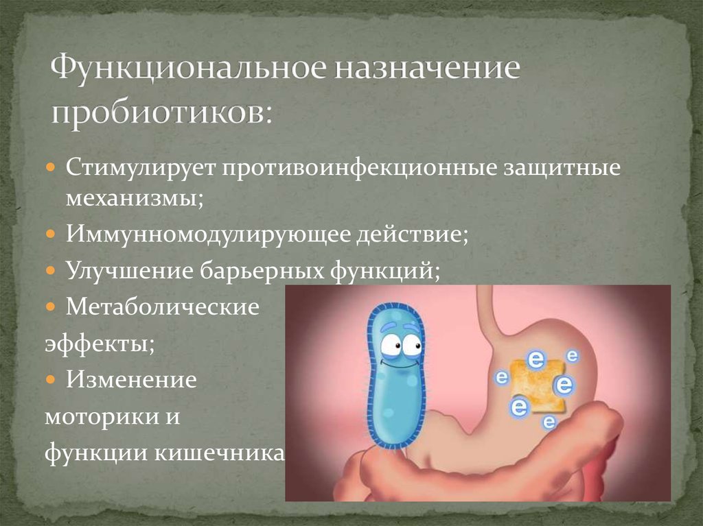 Пробиотики и пребиотики картинки