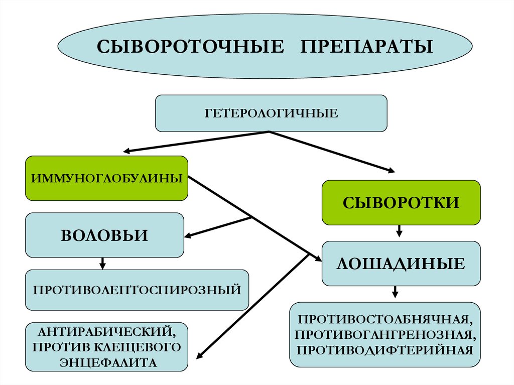 Иммунные сыворотки препараты. Иммунные сыворотки диагностические и лечебные схема. Иммунные сыворотки и иммуноглобулины. Классификация сывороток иммуноглобулина. Иммунные сыворотки классификация.