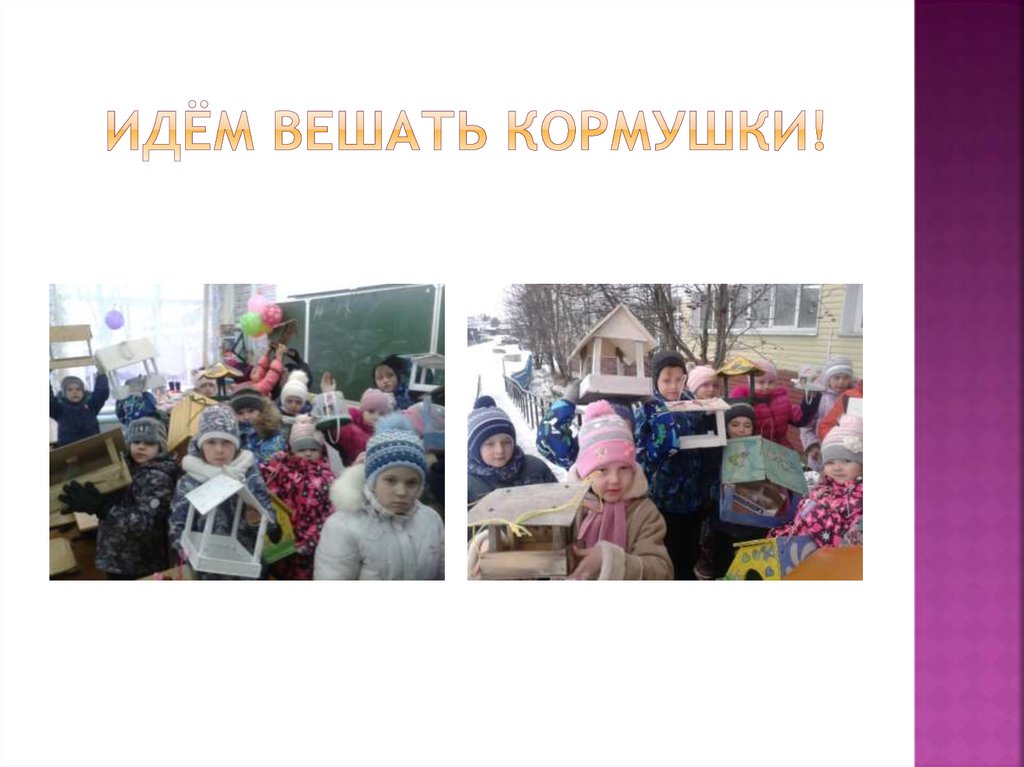 Идём вешать кормушки!