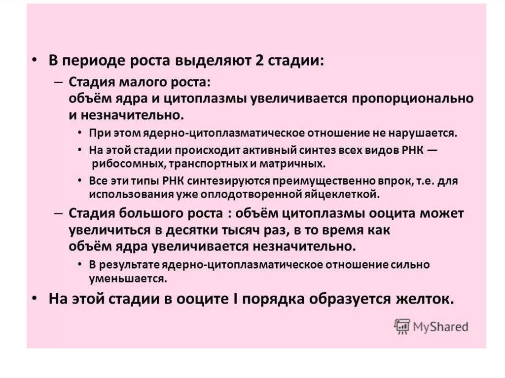 Период роста. Ядерно цитоплазматическое соотношение. Ядерноцитоплазмотическое отношение. Понятие о ядерно-цитоплазматическом отношении. Увеличение ядерно-цитоплазматического отношения.