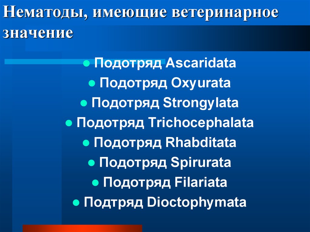 Подотряд. Подотряда Strongylata. Нематоды классификация. Систематика нематод. Систематическое положение нематод.