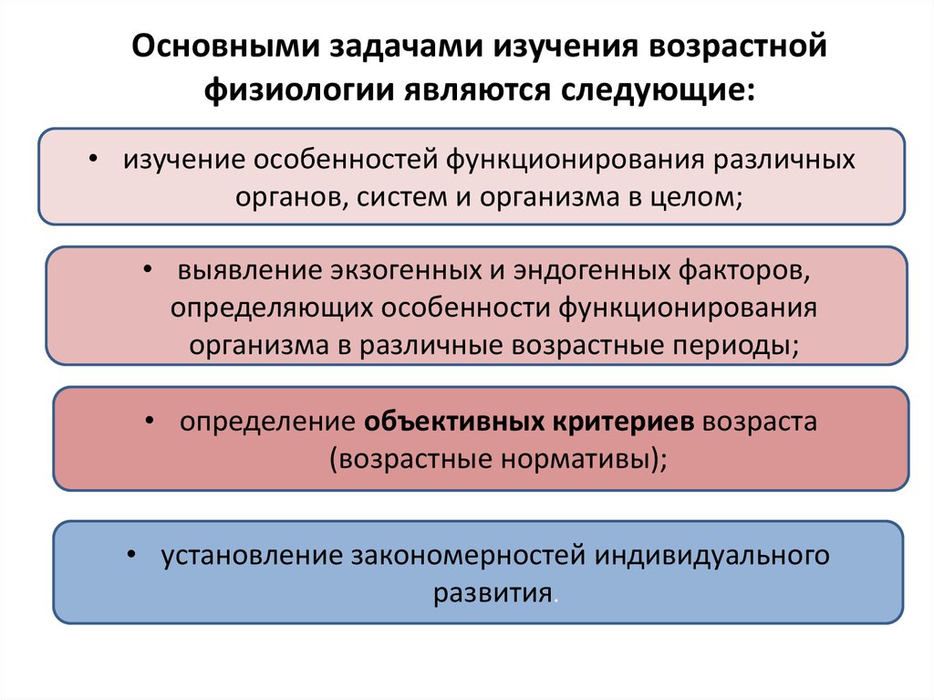 Реферат: Анатомо-физиологические особенности детей и подростков