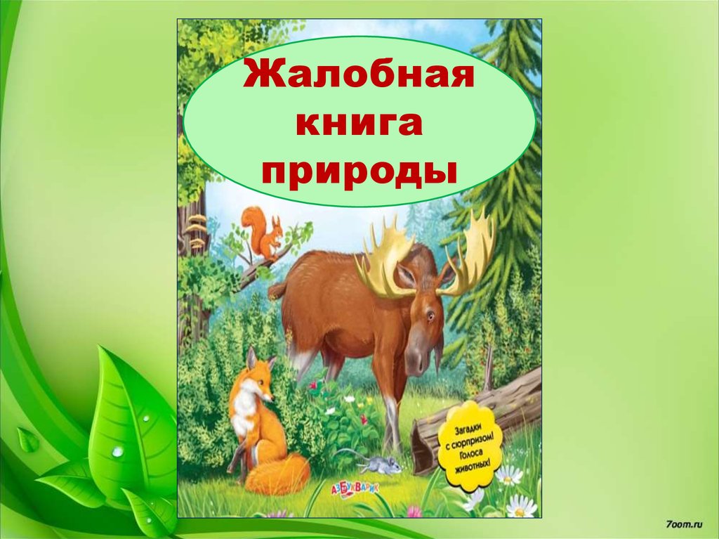 Жалобная книга природы проект