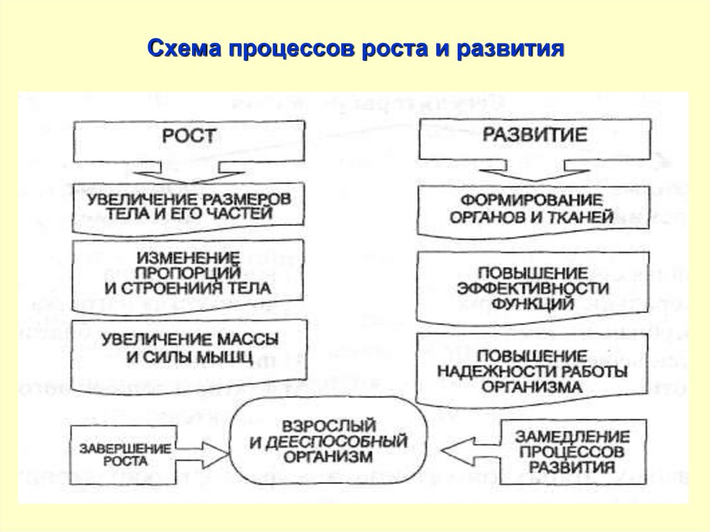 Схема процесса развития ребенка