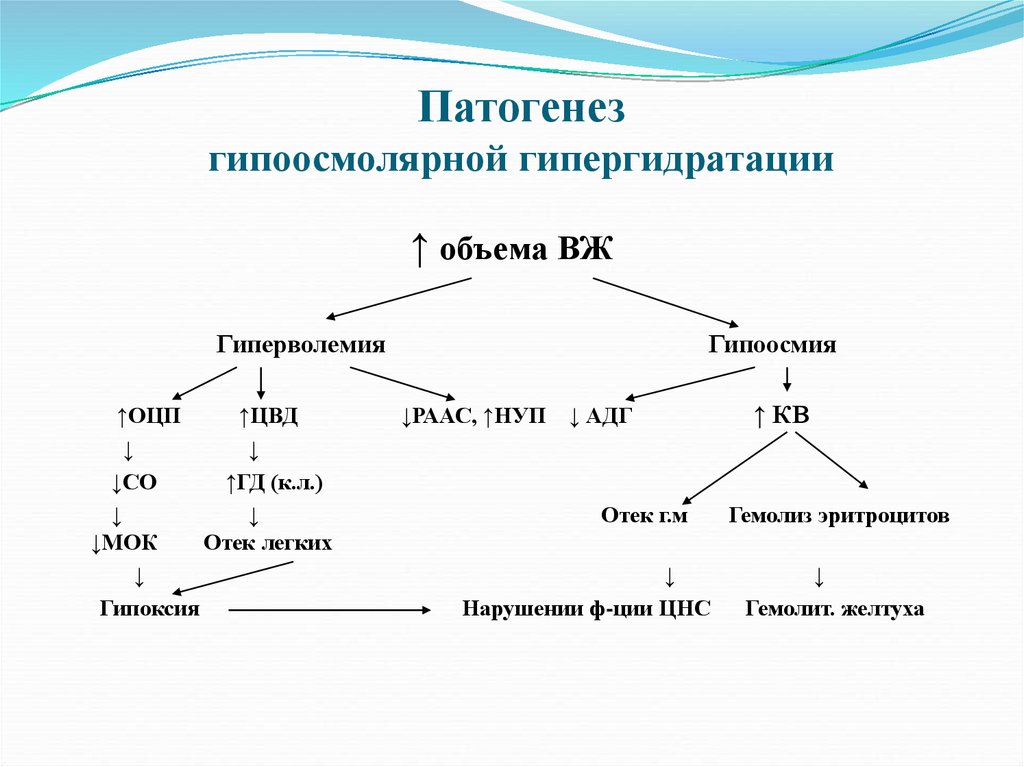 Гипергидратация патогенез. Патогенез изоосмолярной гипергидратации. Механизм развития изоосмолярной гипергидратации. Гипергидратация механизм развития. Патогенез гипоосмолярной гипергидратации.