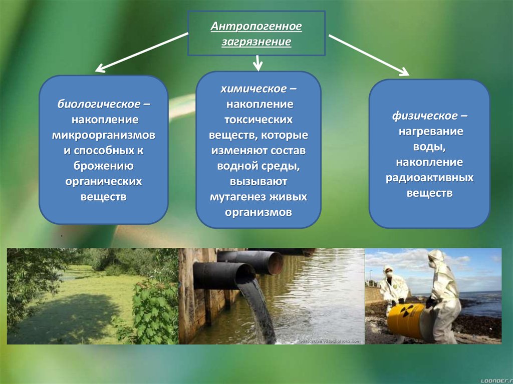 Антропогенные факторы аквариума. Антропогенные загрязнители воды. Главные источники загрязнения воды.