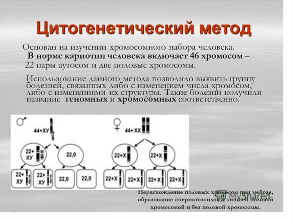 Какой метод основан. Цитогенетический метод исследования наследственности. Цитогенетический метод исследования наследственности человека. Цитогенетический метод изучения наследственности. Цитогенетический метод изучения генетики.