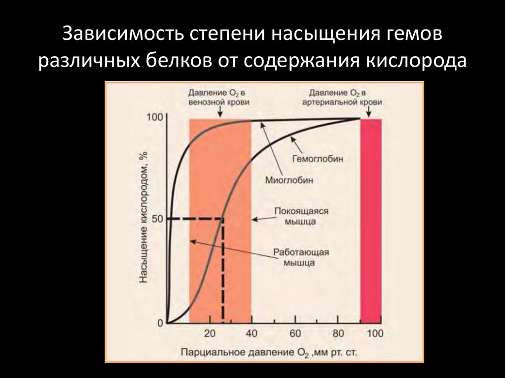 Кривая диссоциации. Степень насыщения гемоглобина кислородом. Кривая диссоциации гемоглобина и миоглобина. Кривые насыщения гемоглобина кислородом. Кривая насыщения миоглобина кислородом.