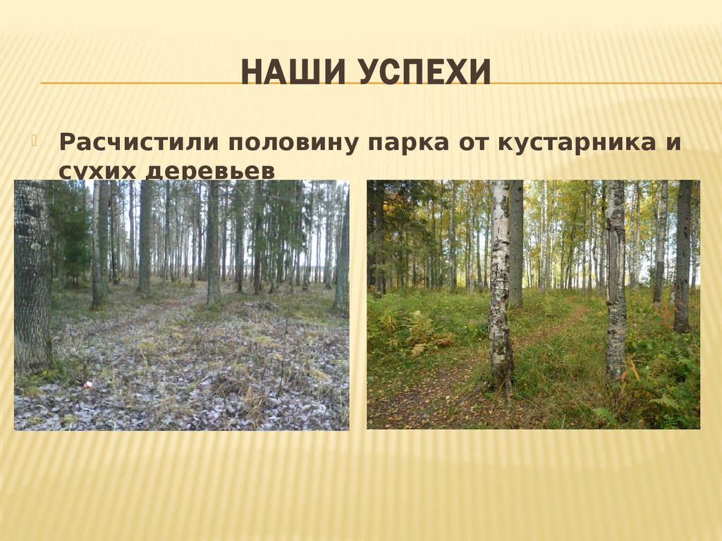 Наши успехи