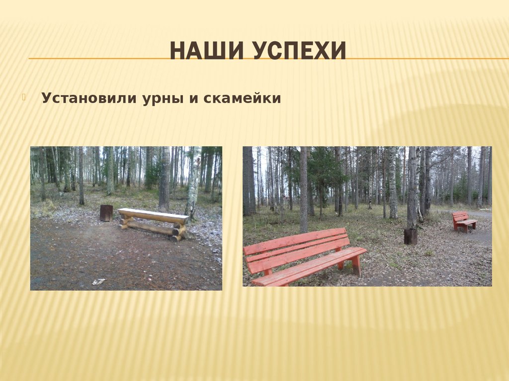 Наши успехи