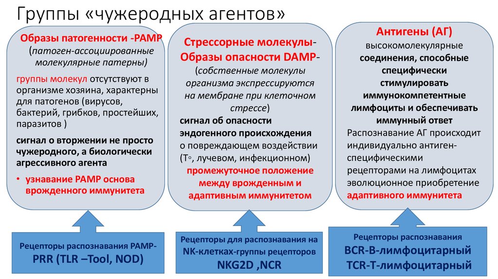 Образа опасности. Молекулы-мишени врожденного иммунитета. Образы патогенности и паттерн-распознающие рецепторы. Образы патогенности. Типы паттерн распознающих рецепторов.