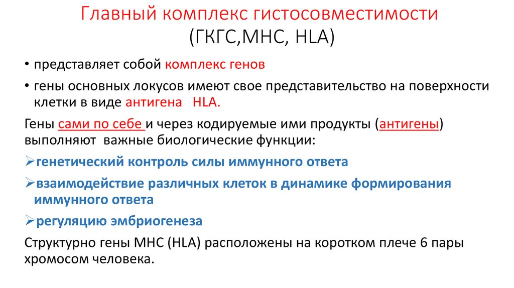 Комплекс основных. МНС главный комплекс гистосовместимости. MHC главный комплекс гистосовместимости. Антигены главного комплекса гистосовместимости. Антигены гистосовместимости 1 класса.