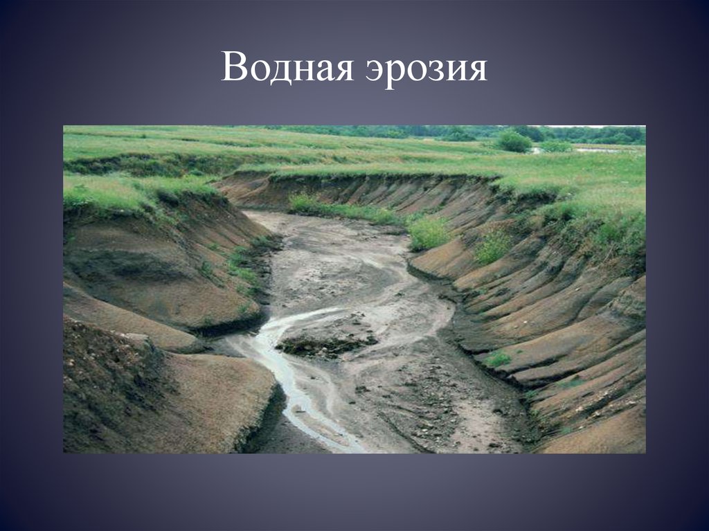 Эрози. Водная и Ветровая эрозия почв. Струйчатая водная эрозия. Овражная водяная эрозия. Водная эрозия почв.