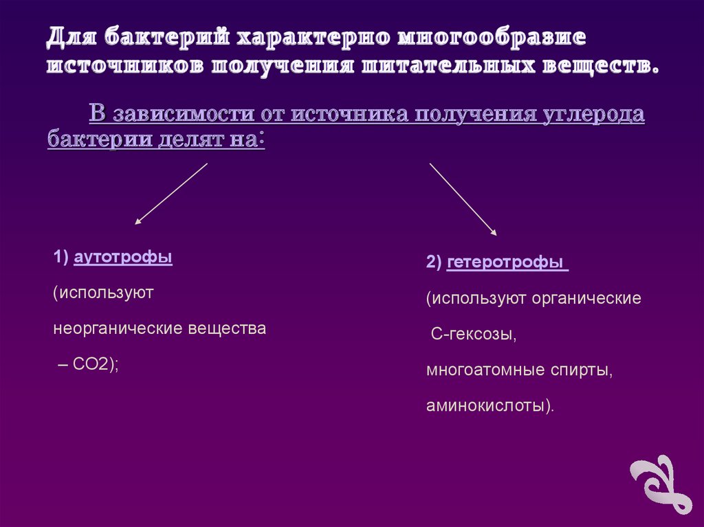 Процессы характерные для бактерий. Для бактерий характерно.