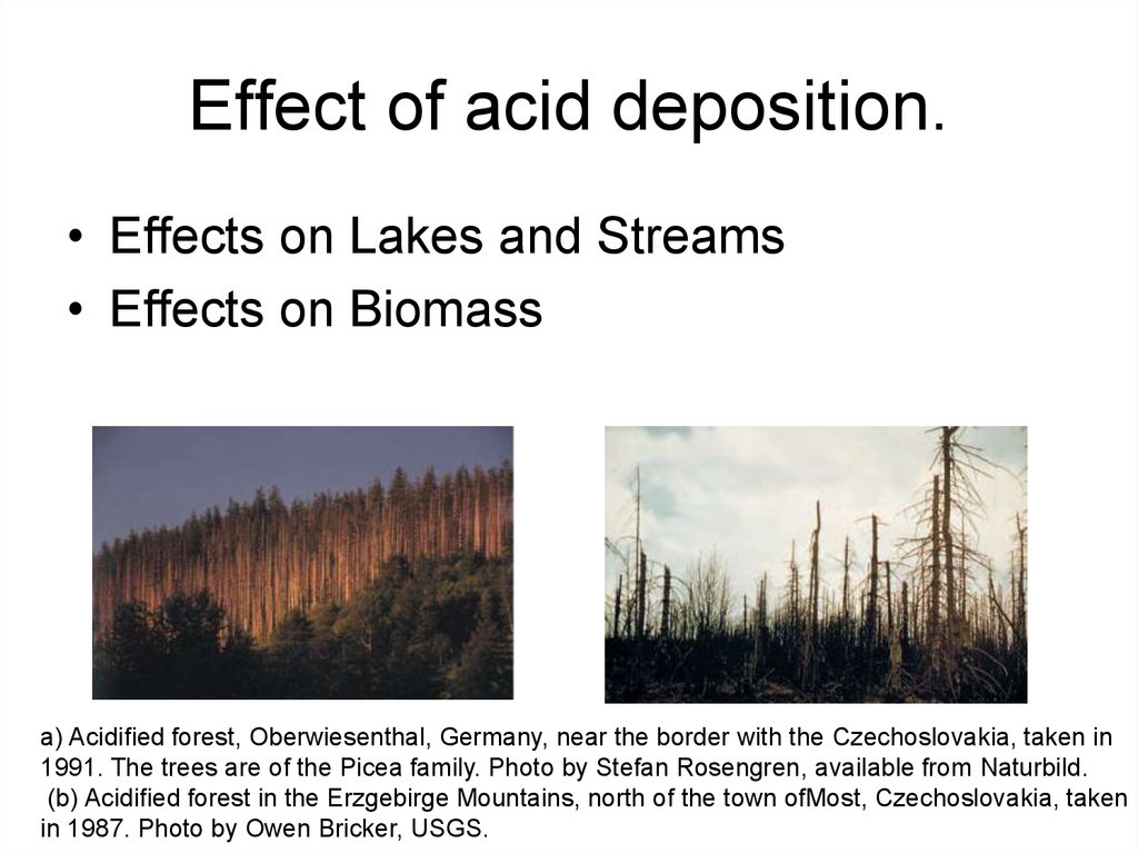 Effect of acid deposition.