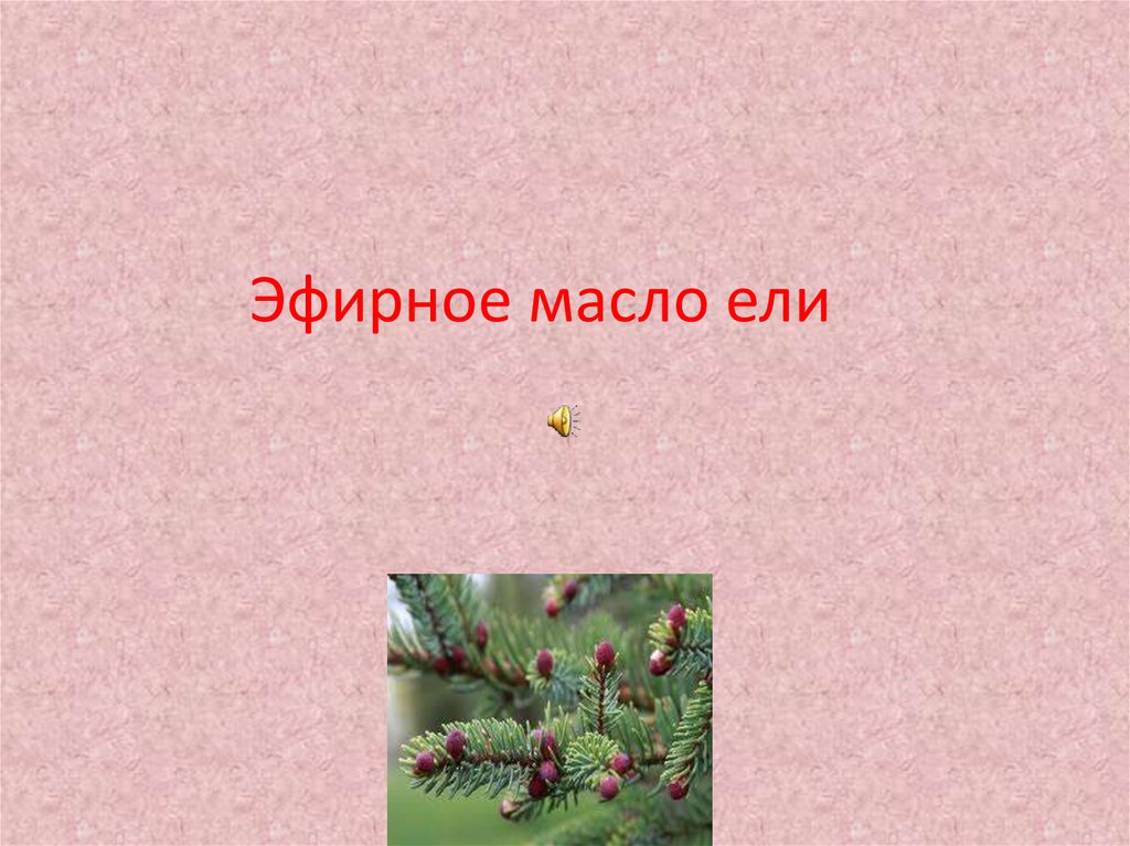   Эфирное масло ели