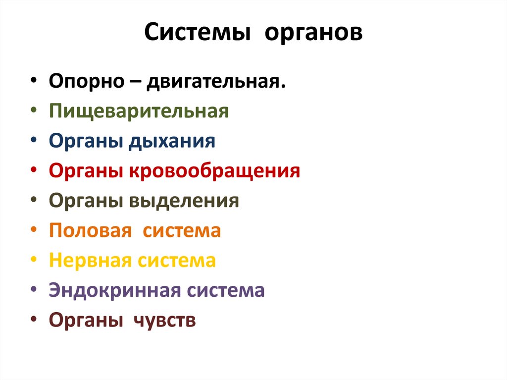 Характеристика царства животные презентация 5 класс