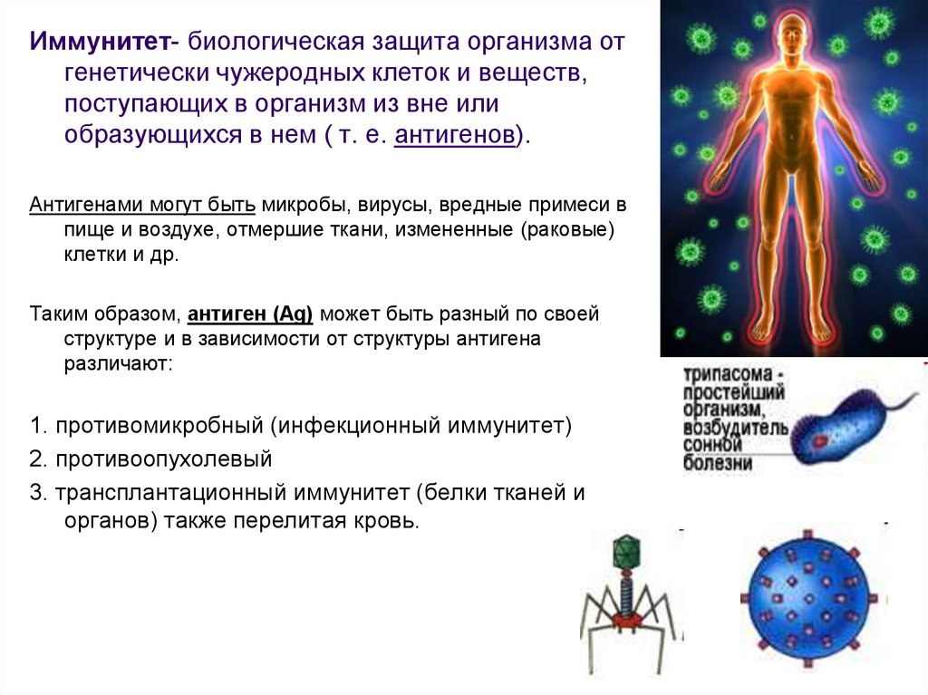 Защити тело. Иммунитет защита организма. Защита клеток организма. Иммунную защиту организма осуществляют. Иммунная защита презентация.