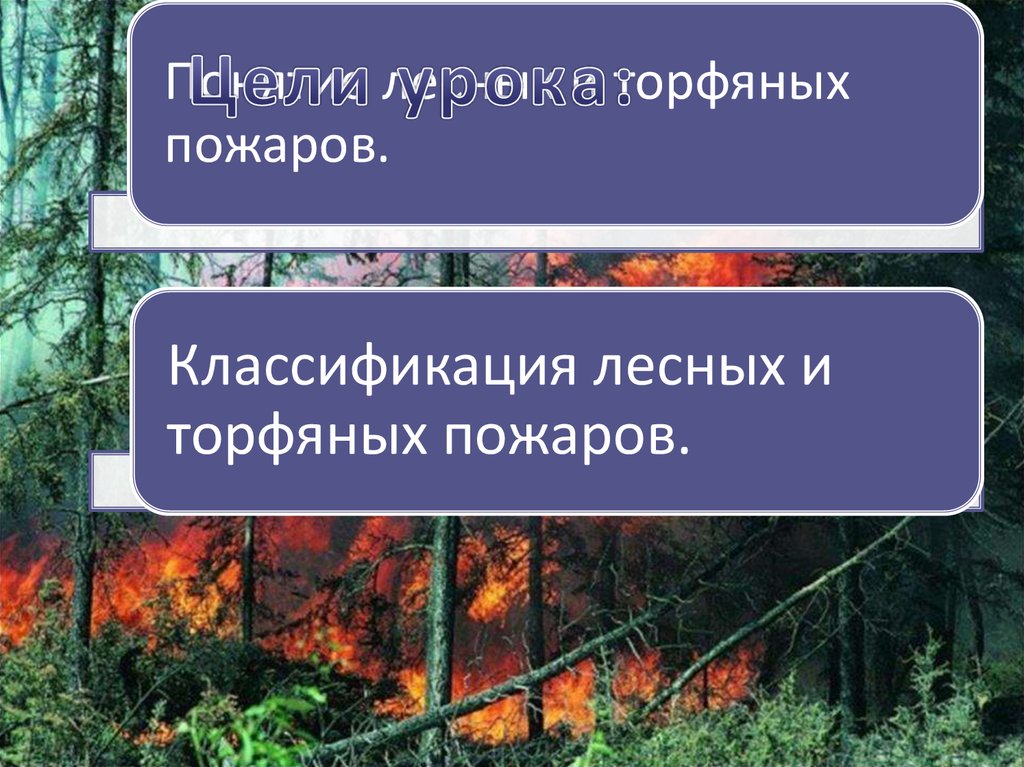 Презентация лесные и торфяные пожары и их характеристика презентация 7 класс