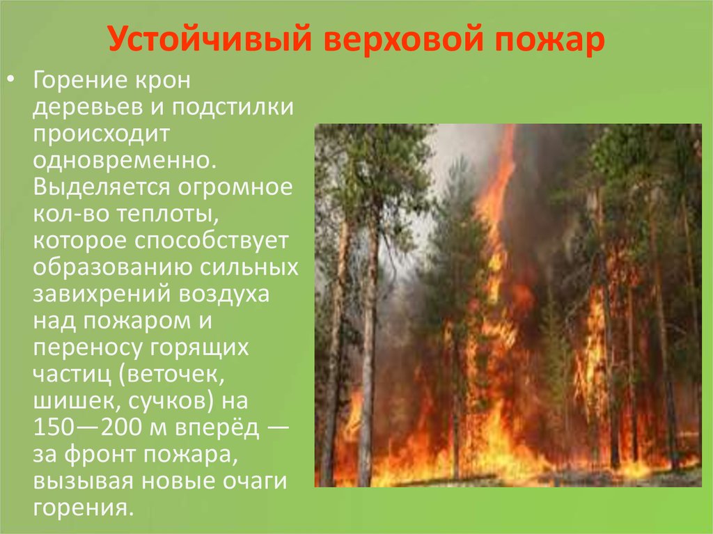 Устойчивое горение. Верховой пожар. Верховой Лесной пожар. Верховой пожар в лесу. Устойчивые верховые пожары.