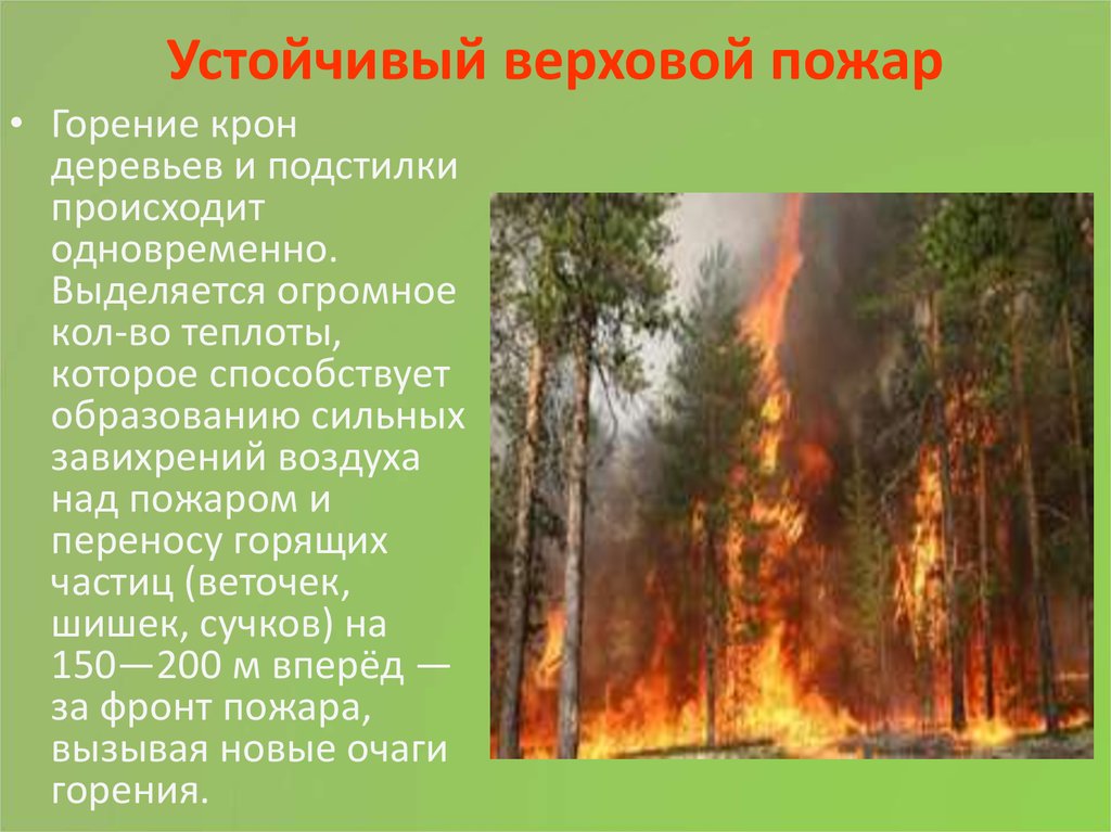 Верховой пожар наиболее опасен сдо. Лесной верховой пожар характеристика. Верховые Лесные пожары характеристика. Верховой пожар скорость. Верховые пожары это кратко.