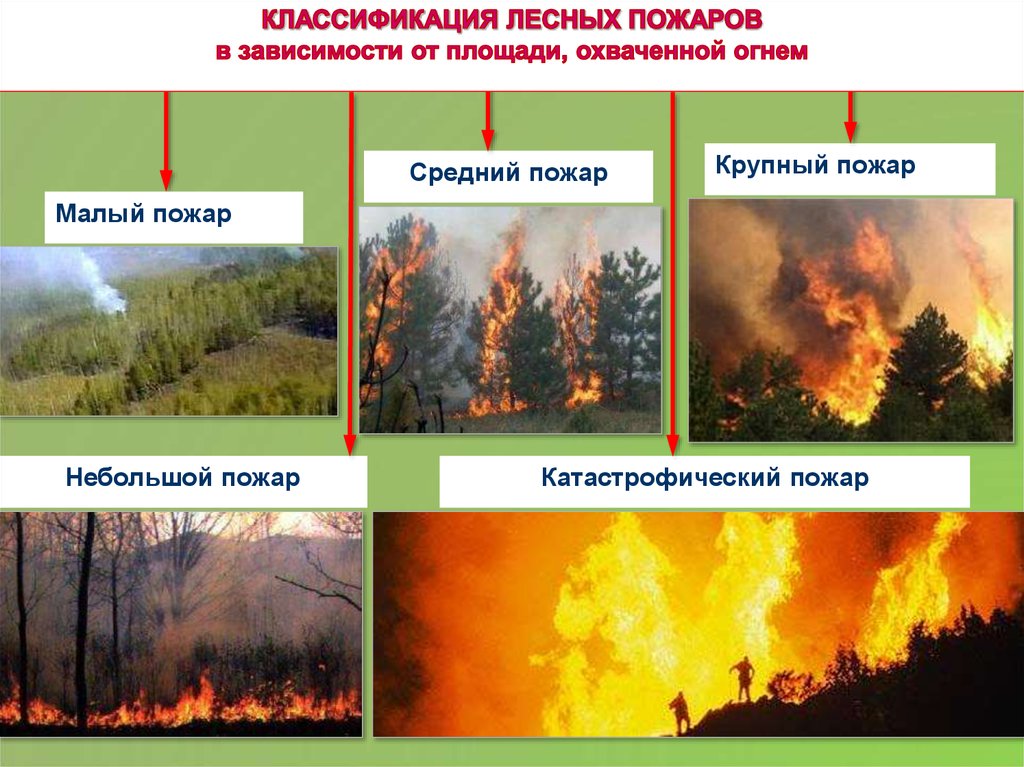 В следствии лесных пожаров. Классификация природных пожаров по интенсивности горения. Классификация лесных и торфяных пожаров. Лесные и торфяные пожары. Причины природных пожаров.