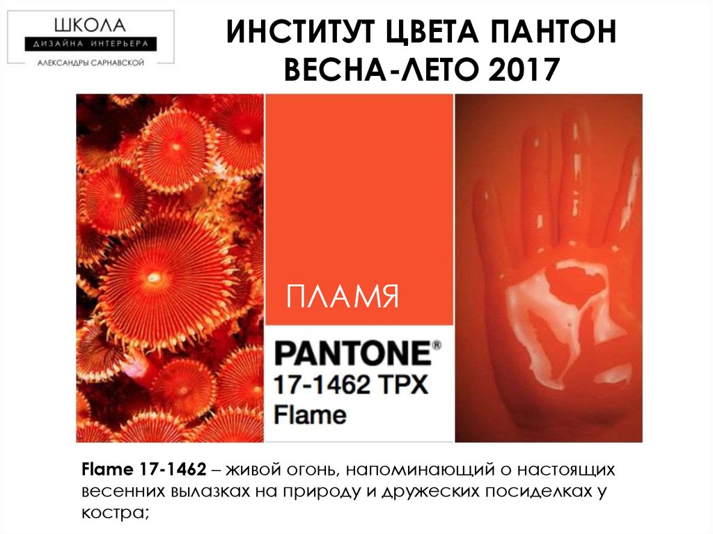 Институт цвета. Пантон Flame 17-1462. Институт цвета пантон. Огонь пантон.