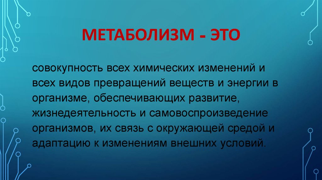 Метаболизм человека