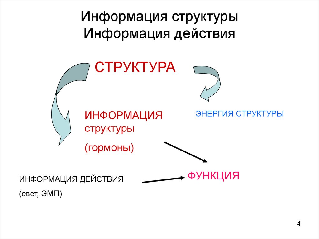 Структура действия